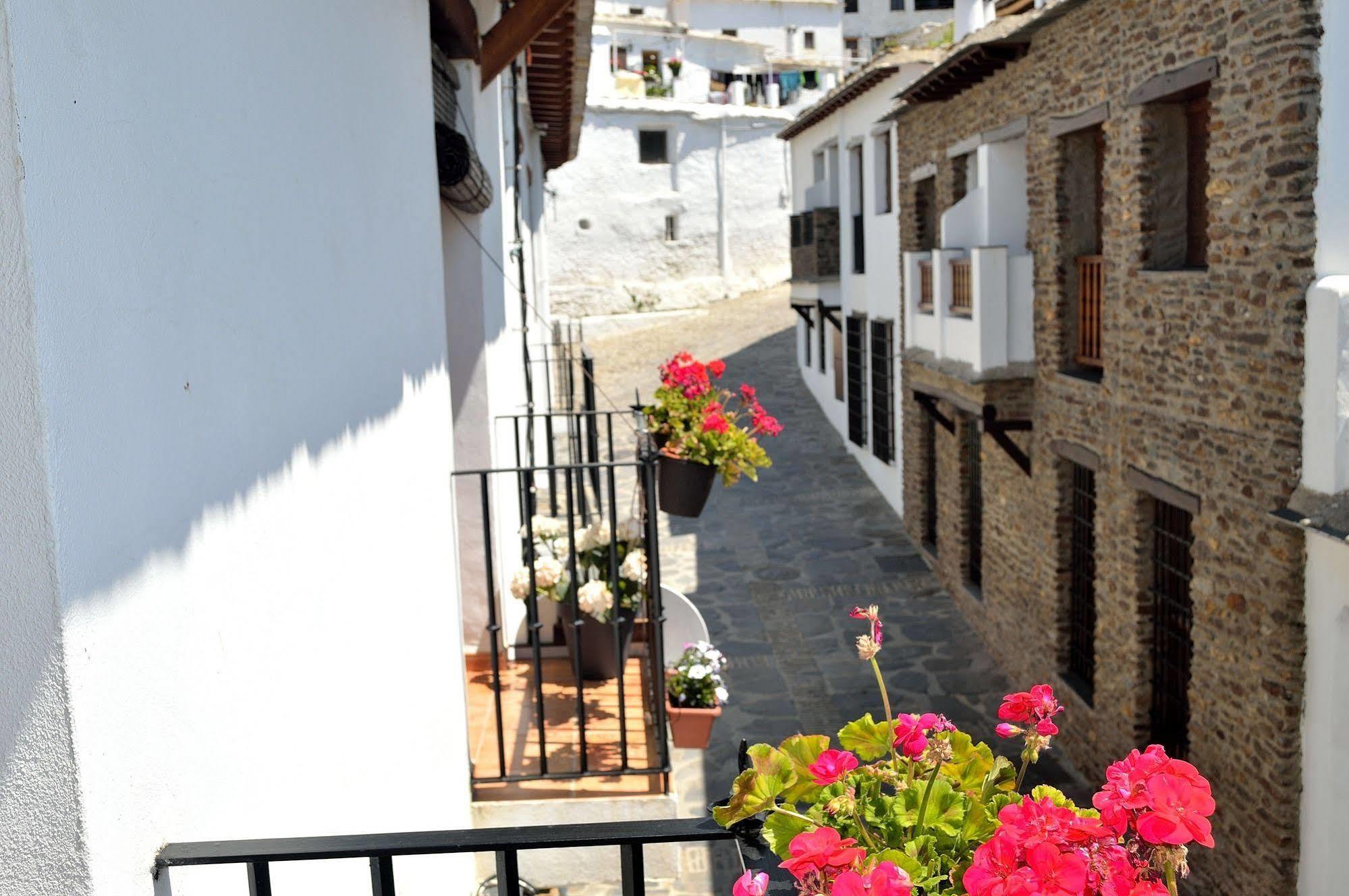 Hotel Rural Alfajia De Antonio كابيليرا المظهر الخارجي الصورة